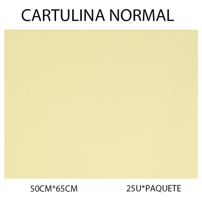 CARTULINA NORMAL 50CM*65CM...