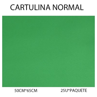CARTULINA NORMAL 50CM*65CM...