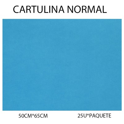 CARTULINA NORMA 50CM*65CM...